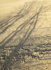 Fototapeta na wymiar Ploughed field with trees' shadows