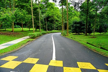curve asphalt road park