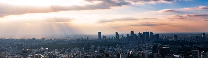 Tuinposter Tokio Tokyo landschap