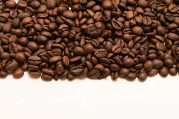 Isolated studio shot. coffee bean on white