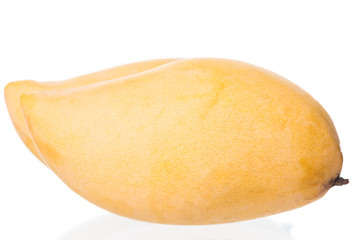 mango fruit on white background