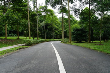 road asphalt in park nobody