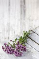 Bunch of fresh Oregano twigs with flowers on wooden plank. Pink flowers bouquet of origanum Rustic, white painted background.