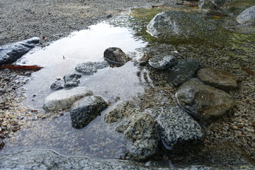 清流の小石たち