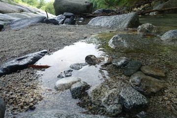山梨の清流
