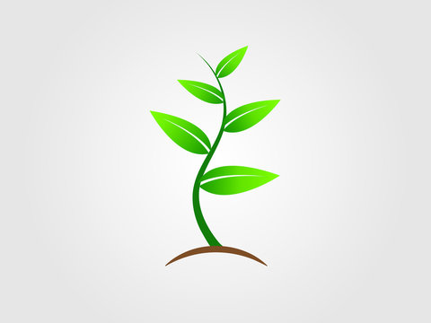 A cool green tree plant icon on white background vector illustration