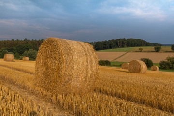 Hay in the fields before the storm