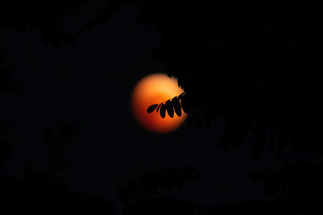 total lunar eclipse (red moon) of 27 July 2018