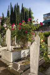 Mezarlıktaki çiçekler