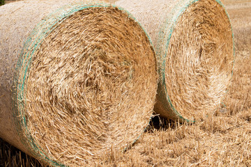 zwei rundballen in nahaufnahme und makro