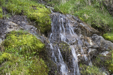 Fototapeta na wymiar Mountain river with a little waterfall with moss and grass