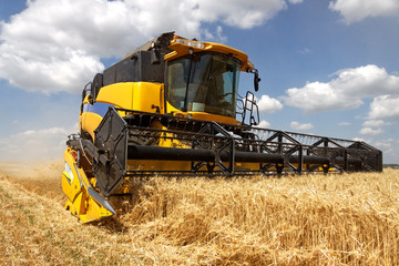 Combine harvests wheat on a field in sunny summer day