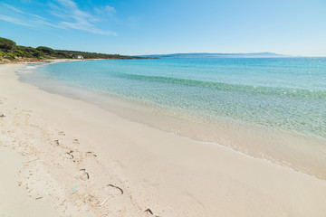 Turquoise water and white sand in Le Bombarde beach in Alghero