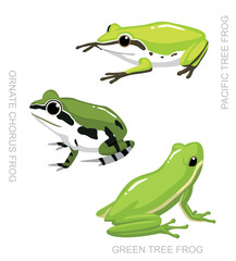 Obraz premium Frog Tree Frog Set Cartoon Vector Illustration