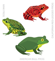 Obraz premium Frog American Frog Set Cartoon Vector Illustration