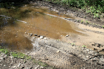 Puddle and tracks on the forest dirt road