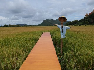 scarecrow with wooden bridge copy space rice view mountain behind
