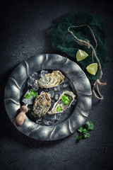Tasty oysters on ice with lemons on dark plate