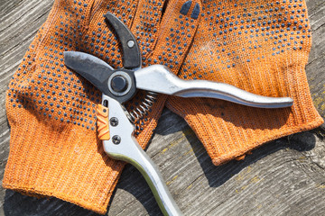 Pruning shears and protective gloves