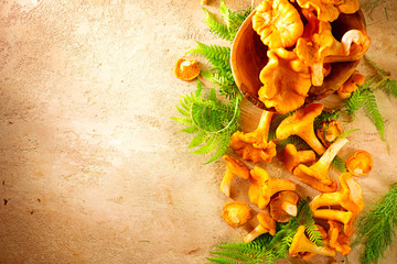 Raw wild chanterelle mushrooms on old rustic table background. Organic fresh chanterelles background. Border design © Subbotina Anna