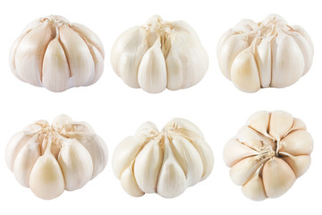 Raw Garlic Bulbs and Garlic Cloves on White Background