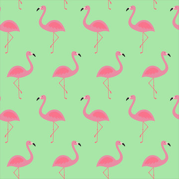 pink flamingo tropical exotic bird summer seamless pattern on a green background vector
