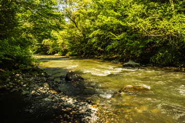 Obraz premium Trialeti mountain range in Georgia