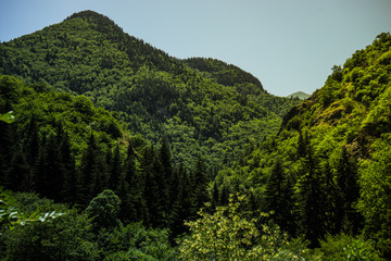 Trialeti mountain range in Georgia