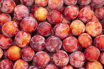 Texture of orange plum in shop close up top view.