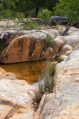 Small puddle in rock formations near the Walsh River on the Atherton Tablelands in Queensland, Australia