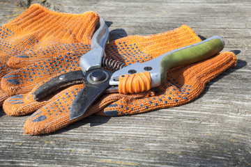 Pruning shears and protective gloves