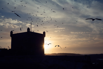 Backlit portuguese fort at sunset, Essaouira port, Morocco