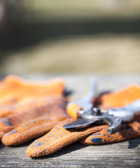Pruning shears and protective gloves