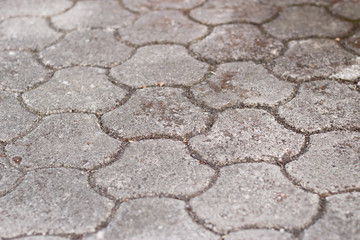 Pattern of concrete pavement. 