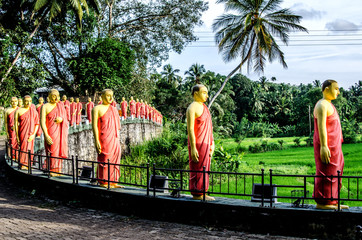 Statues of monks standing in a row, in one of the temples of Sri Lanka.
- 215355755