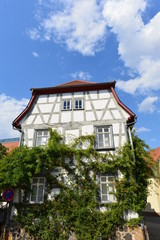 Rosenmuseum Steinfurth (Bad Nauheim)