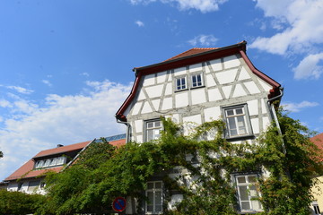 Rosenmuseum Steinfurth (Bad Nauheim)