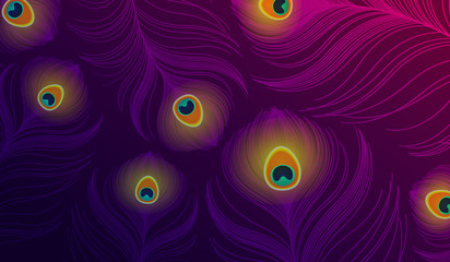 Design of colorful peacock feathers background