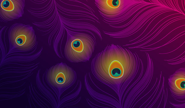 Design of colorful peacock feathers background