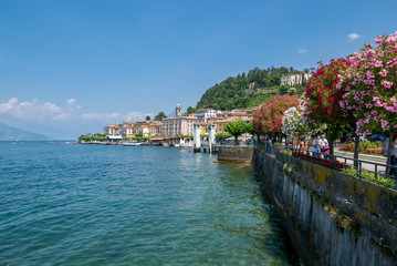 Bellagio lakefront with trees in bloom on Lake Como
