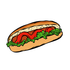 hot dog salad ketchup isolate on a white background