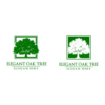 Green Oak Tree Vector Logo Design