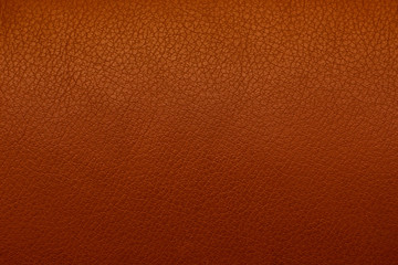 leather texture. background of leather.