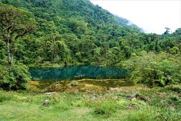 Pozo Verde and cloud forest in Juan Castro Blanco National Park
