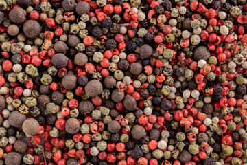 Multicolored pea of red, green, black and sweet pepper