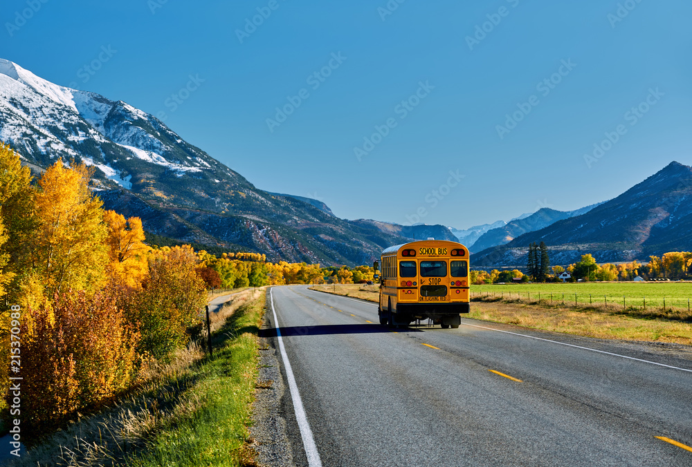 Canvas Prints school bus on highway in colorado at autumn