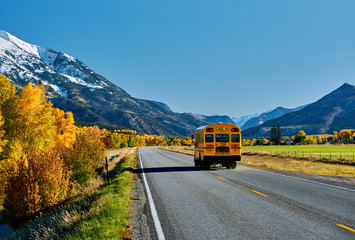 School bus on highway in Colorado at autumn - 215370988