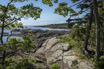 Fototapeta na wymiar Rocky Maine Coastline Through the Trees