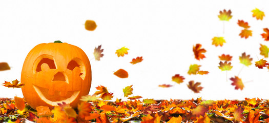 freigestellter kürbis mit herbstlaub