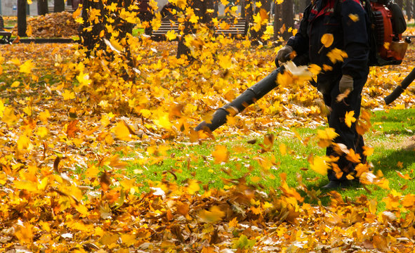 A man in dark uniform operating a heavy duty leaf blower. Leaves being swirled up